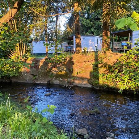 S-Chalet Camping Mit Comfort Im Schwarzwald Steinach  Exteriör bild